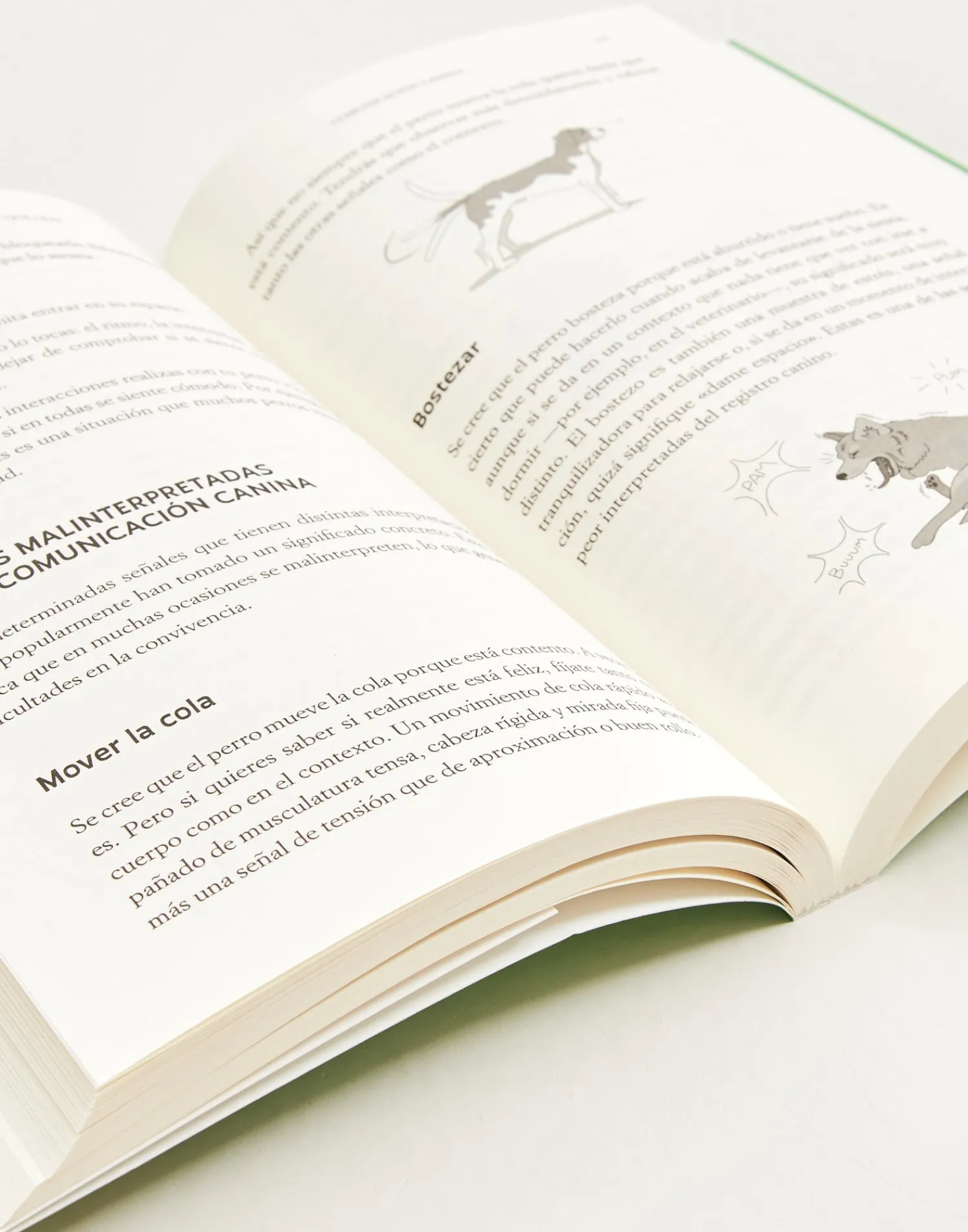 Natura Selection El Libro Que Tu Perro Quiere Que Leas 150535-SIN_COLOR Online