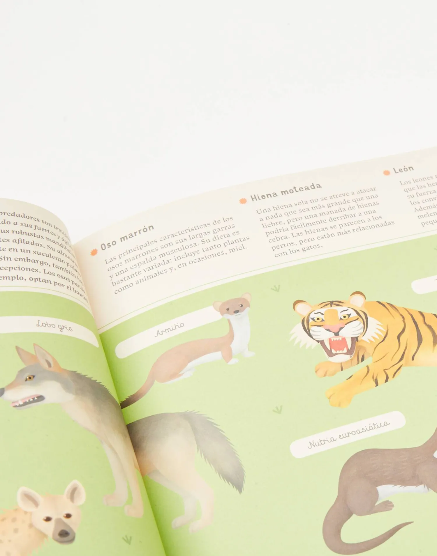 Natura Selection Enciclopedia De Animales Para Jóvenes Lectores Online