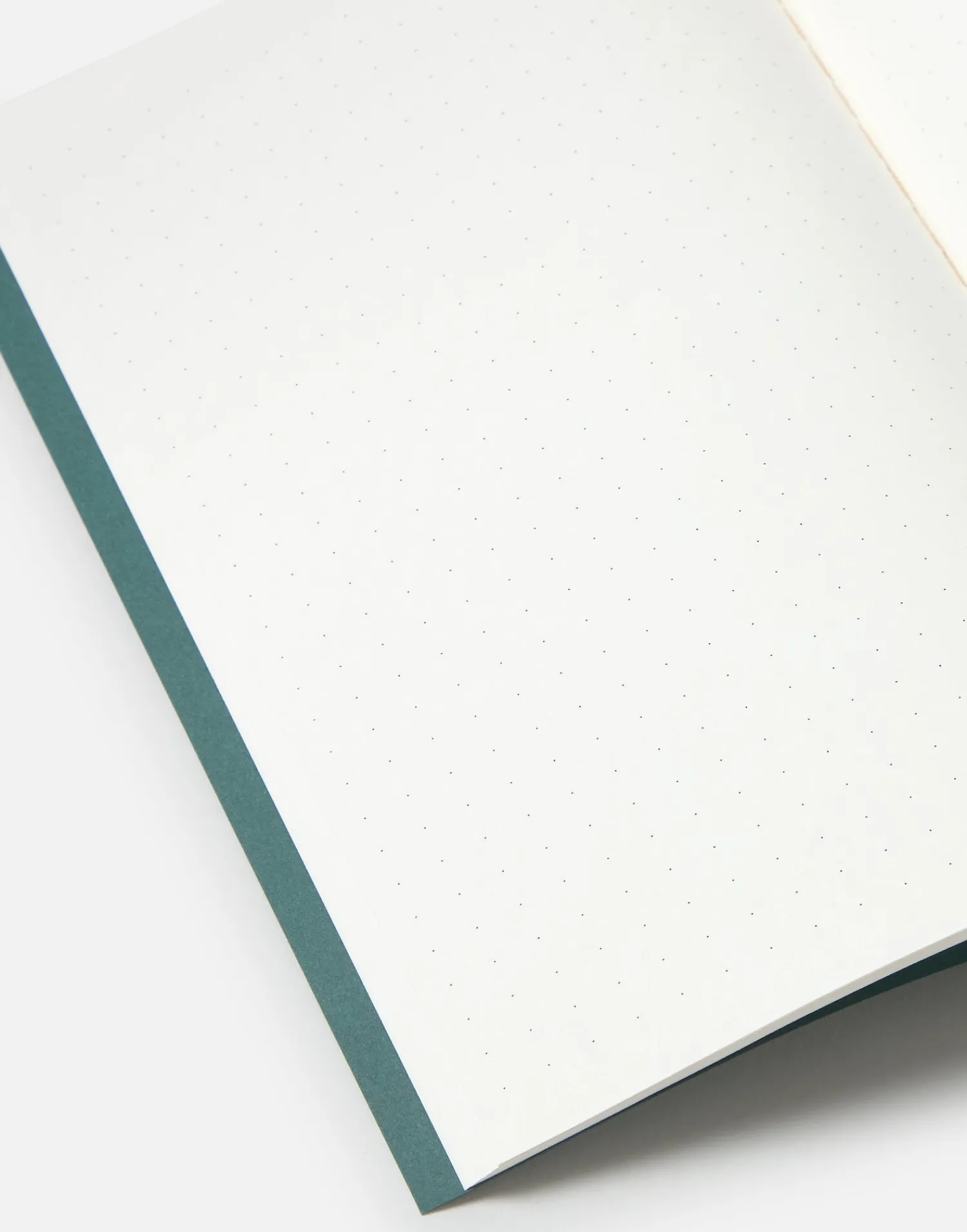 Natura Selection Libreta Retro A5 Hot