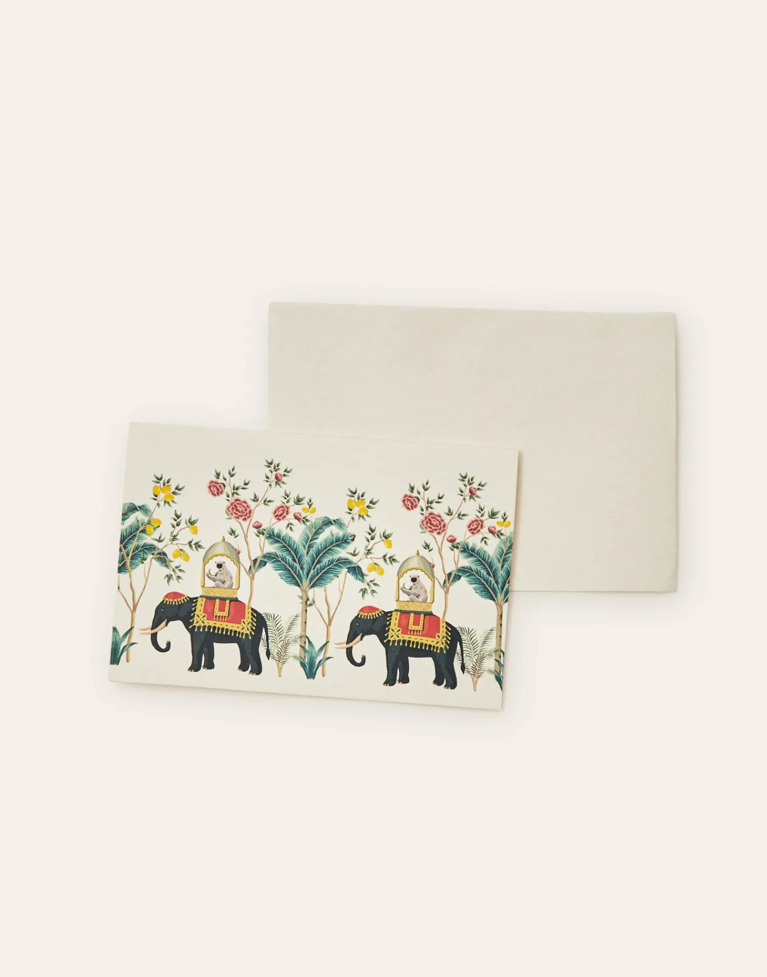 Natura Selection Postal Con Sobre Elephant Best